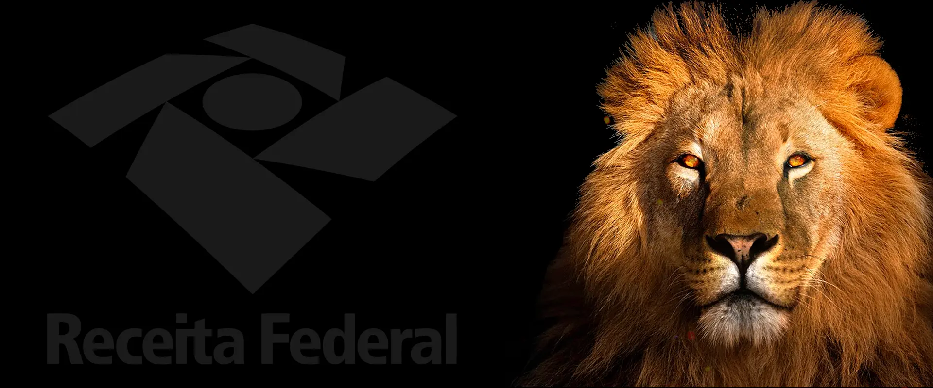 DECLARAÇÃO DO IMPOSTO DE RENDA